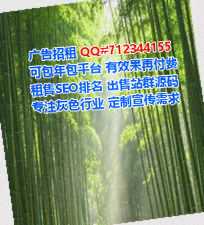 田林孕母翻译经营部